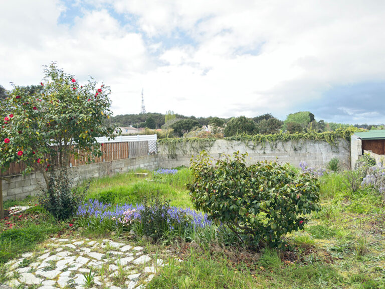 2026-094205-2.jpg