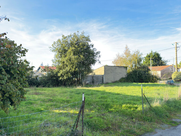 2026-112800.jpg