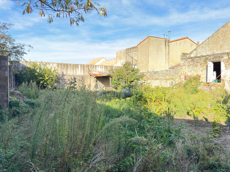 2025-102529-4.jpg